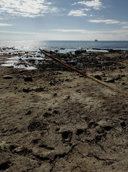 Similar image 21677799