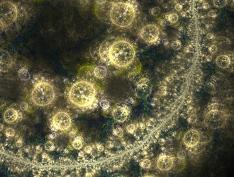 Similar image 21681460