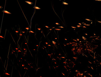 Similar image 21681469