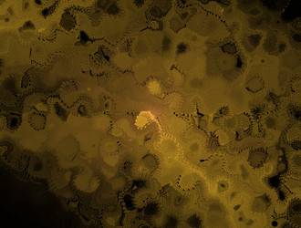 Similar image 21681487