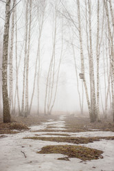 Similar image 21677886