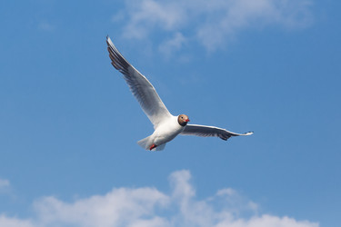 Similar image 21677842