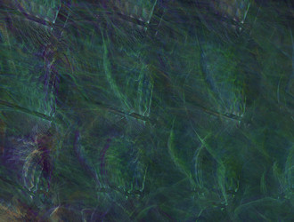 Similar image 21681516