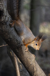 Similar image 21678656