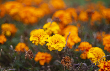 Similar image 21678658