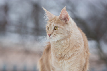 Similar image 21677888