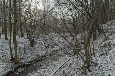 Similar image 21677807