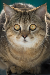 Similar image 21677890