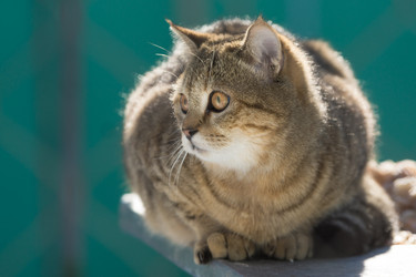 Similar image 21677891