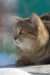 Similar image 21677892