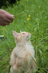 Similar image 21677893