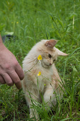 Similar image 21677894