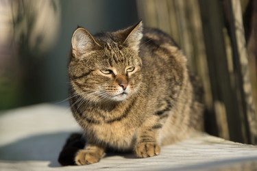 Similar image 21677895