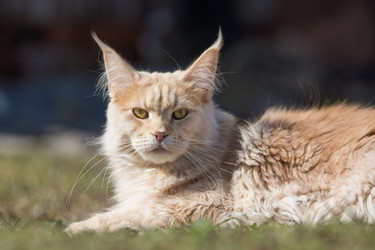 Similar image 21677896