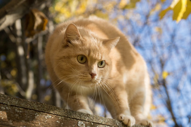 Similar image 21677897