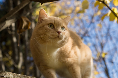 Similar image 21677898