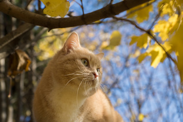 Similar image 21677899