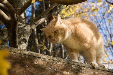 Similar image 21677900