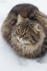 Similar image 21677901