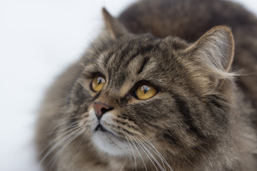 Similar image 21677902