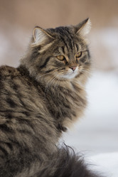 Similar image 21677903