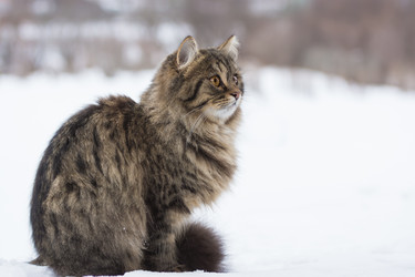 Similar image 21677904