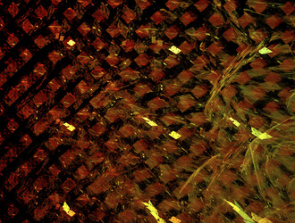 Similar image 21681109