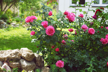 Similar image 21678202