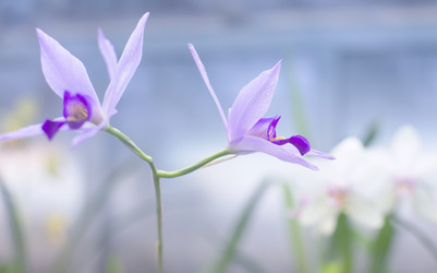 Similar image 21678203