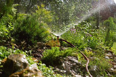 Similar image 21678204