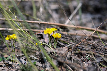 Similar image 21678207