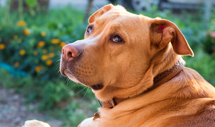 Similar image 21678214