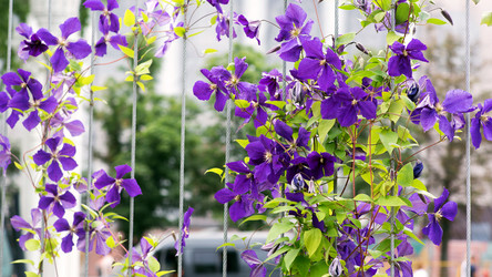 Similar image 21678216