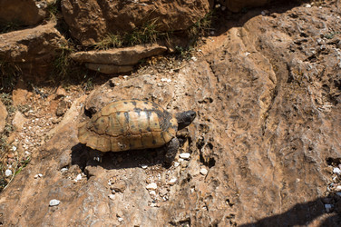 Similar image 21678217