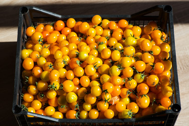 Similar image 21678218