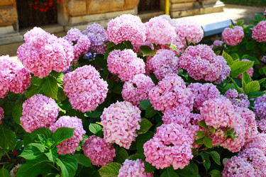 Similar image 21678299