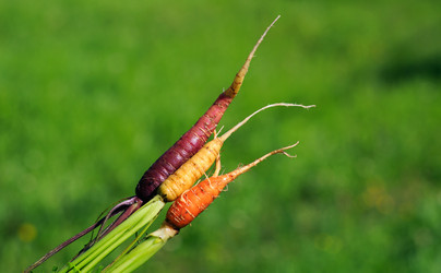 Similar image 21678301