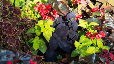 Similar image 21678302