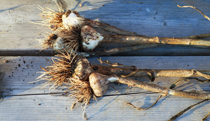 Similar image 21678307