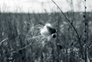 Similar image 21678309