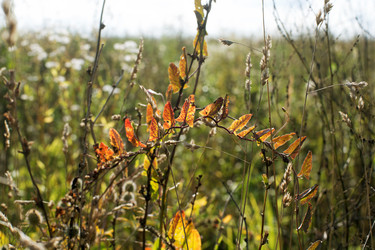 Similar image 21677975