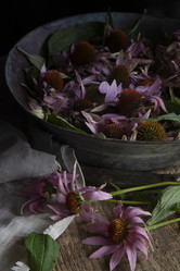 Similar image 21680150