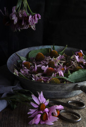 Similar image 21680155