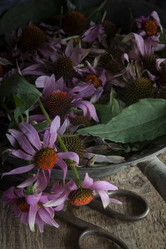 Similar image 21680187