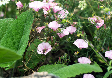 Similar image 21678005