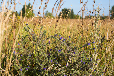 Similar image 21678006