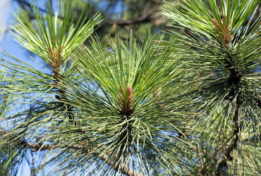 Similar image 21678008