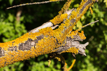 Similar image 21678010