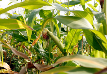 Similar image 21678012