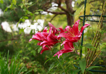 Similar image 21678119